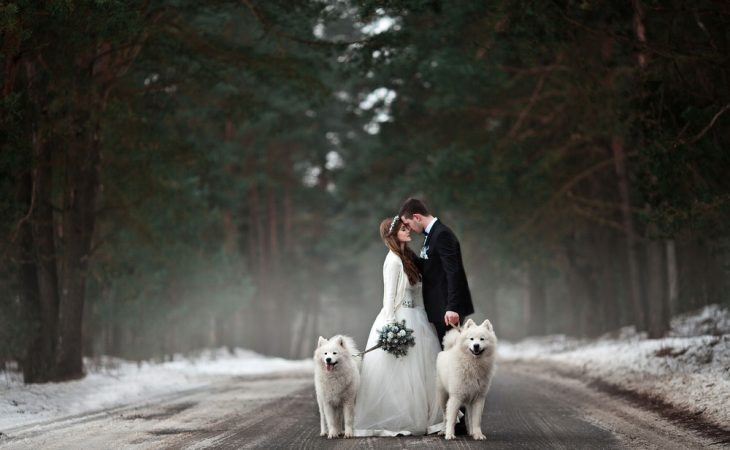 How To Take Great Wedding Pictures In the Minnesota Winter Image